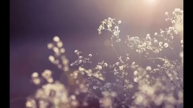 МАГИЯ МЕНЯЕТ ЖИЗНЬ... люди говорят