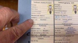 Осенние обработки пчел от клеща. Пчелосемьи в середине ноября.