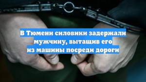 В Тюмени силовики задержали мужчину, вытащив его из машины посреди дороги