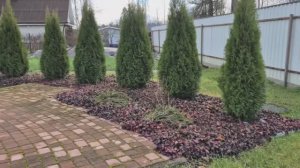 14 ноября. Сад на пороге зимы