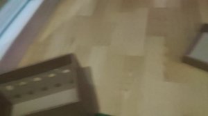 кот Басик в коробке