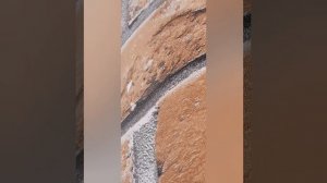 Обзор коллекции Shinhan Natural – стильные обои от Oboiland