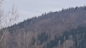 31. Село Ассы. Гора Мелякур (444 метра). 11 октября 2025 года.