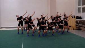 Бию сәнгатен үз иткәннәр