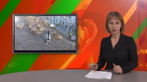 Биектау ТВ Выпуск от 14 11 2025