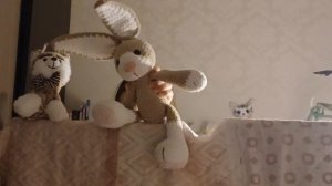 представление о сказке щенке Бобби и принцессы Софии