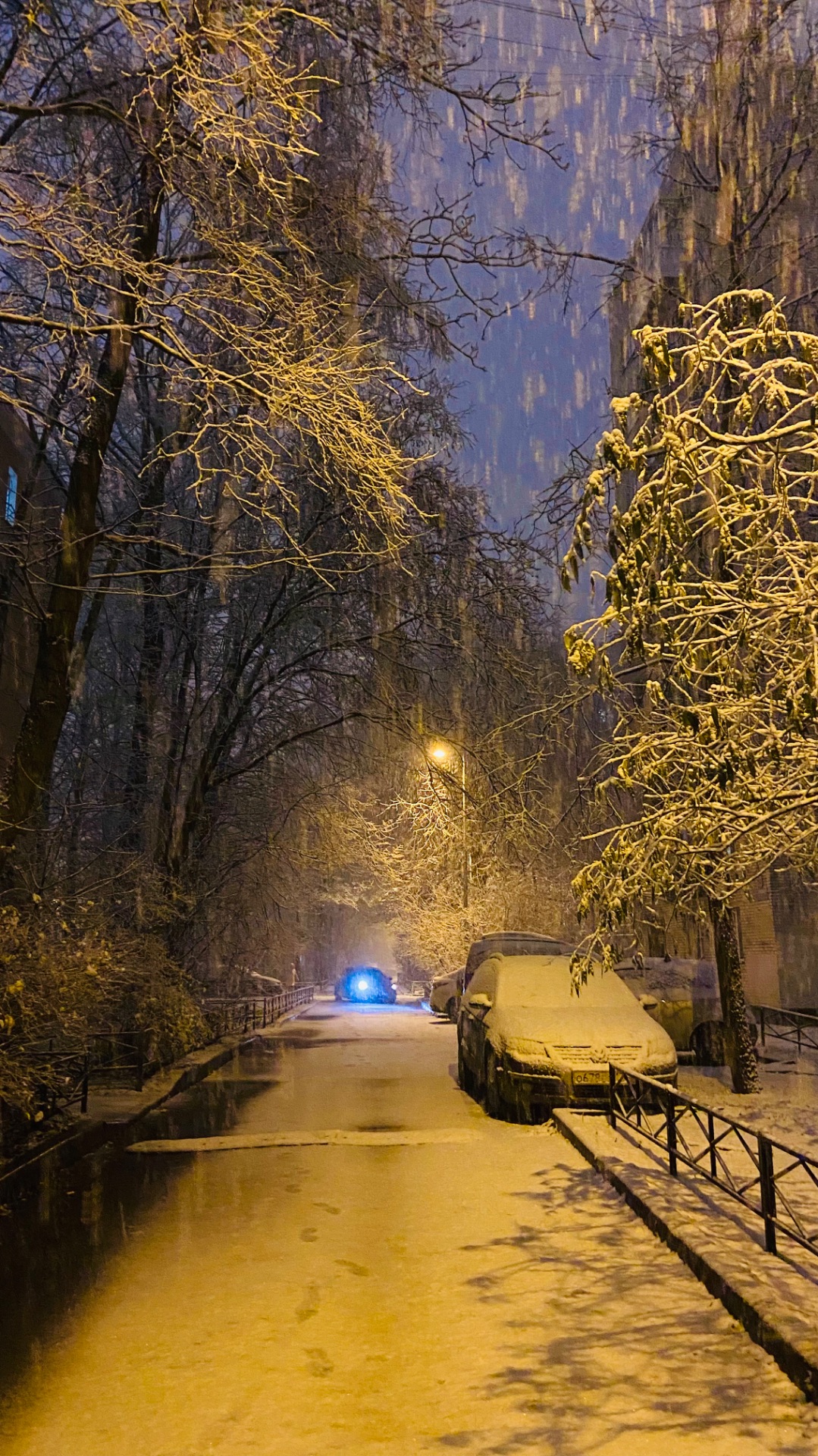 В Петербург заглянула зима ⛄️❄️