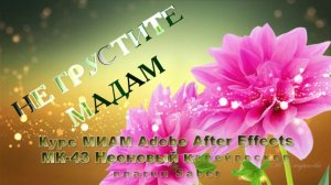 ААЕ МК-43 Не грустите мадам плагин Saber