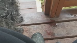 СОЧИ ГОРНОЕ ЛОО ВЕЧЕР 14.11.2025