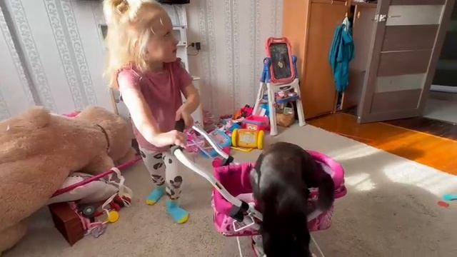 27.09.2025. Ника и Маврик.