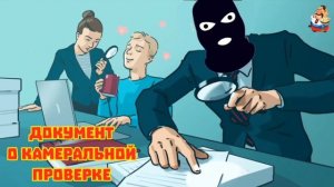 АФЕРИСТЫ 404, Документы о камеральной проверке..