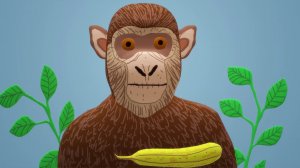 Рисунок 3D Обезьяна с бананом. Песня в видео
