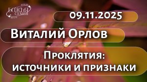 Виталий Орлов  09.11.2025
