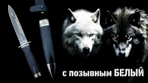 ЧЁРНЫЙ ВОЛК ПРИЗНАЛ ХОЗЯИНА❗️ 🐺🖤 Смотрите какая история вышла❗️  АН-44