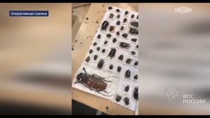 Телеканал «Россия 24», программа «Вести. Дежурная часть», 13.11.2025