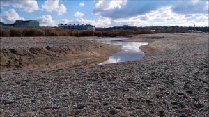 Сводка новостей с пляжей Любимовки.13-14.11.25г.