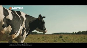 Неважно, деревня или мегаполис