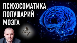 Как левое и правое полушарие мозга связаны с нашей работой и семьей. Феноменальная психосоматика