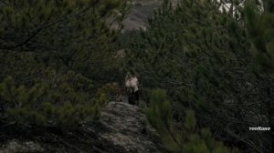 Мангул — Официальный Трейлер (4K, 2026)