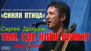 Синяя птица - Там где клен шумит ( sax cover)