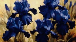 Надежда Тэффи "Черный ирис"