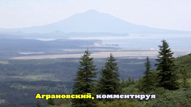 Политолог Аграновский считает, что Япония пока не признает Курилы российскими