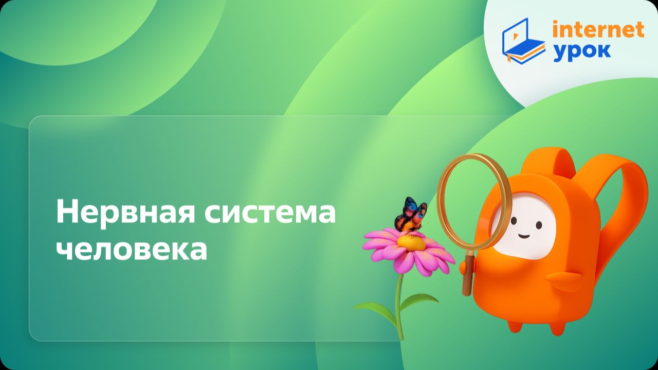 Окружающий мир 4 класс. Нервная система человека смотреть онлайн