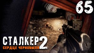 БРОДИМ ПО СЛЕДАМ ПНВ (65) ► S.T.A.L.K.E.R. 2 Сердце Чернобыля