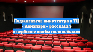 Поджигатель кинотеатра в ТЦ «Авиапарк» рассказал о вербовке якобы полицейским
