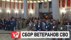В ВОЛГОГРАДЕ СТАРТОВАЛИ МЕЖРЕГИОНАЛЬНЫЕ СБОРЫ ВЕТЕРАНОВ СВО