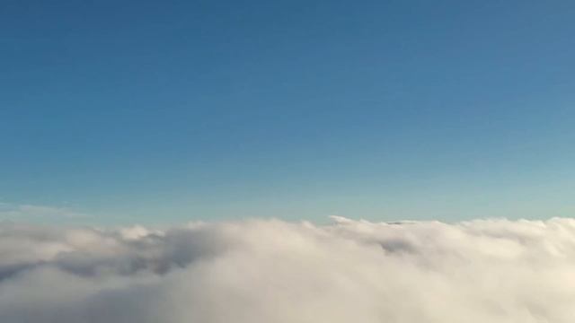 Наша птица. смотреть онлайн