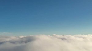 Наша птица.