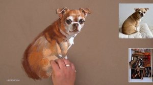 Как нарисовать собаку. Мастер-класс пастельной живописи с Марией Павловой