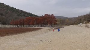 Из ЖК Кипарис на Кипарисовое озеро Сукко 12 Ноября 2025 года