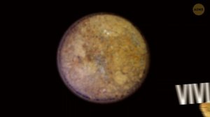 Возможно, мы наконец-то нашли жизнь на Марсе