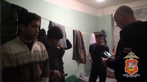 В ходе рейда в д. Чёрная Грязь полицией Подмосковья выявлен факт организации незаконной миграции