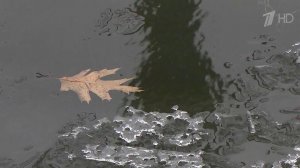 На Москву идет арктический циклон, который уже натворил дел в Мурманской области