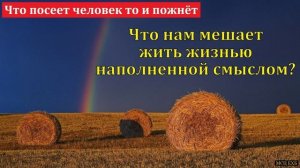 Счастливая жизнь 🙏 Проповедь МСЦ ЕХБ