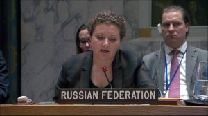 Выступление А.М.Евстигнеевой на заседании СБ ООН по Южному Судану