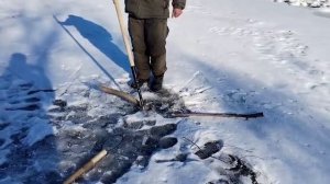 Проверка снастей не Зее
 Амурская область