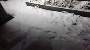 Скважина абиссинская.