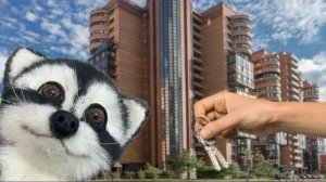 ПЕРЕЕЗЖАЕМ С ЕНОТОМ СЁМОЙ В НАШУ НОВУЮ КВАРТИРУ