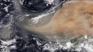 КЛИКА ГОТОВИТСЯ К ВСТРЕЧЕ С ХОЗЯЕВАМИ?