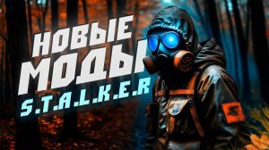 Я_ПОИГРАЛ_В_НОВЫЕ_МОДЫ_НА_STALKER_И_ПРЕИСПОЛНИЛСЯ