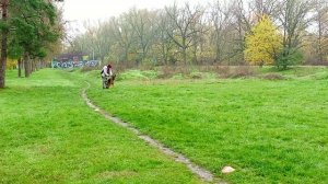 1.  выражено/пож STAR WINNER ARIDANI (Marcelo du Val D*Anzin – Star Winner Troya)