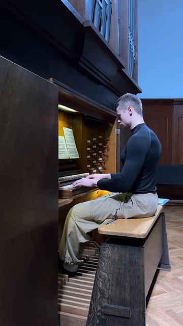 Fughetta super 'Allein Gott in der Höh sei Ehr', BWV 677 #organmusic #bach смотреть онлайн