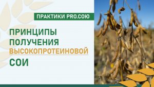 Принципы получения высокопротеиновой СОИ  | Практики PRO.СОЮ