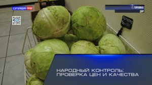 Народный контроль: проверка цен и качества