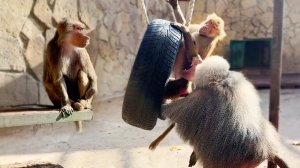 ГЛАЗАМ НЕ ВЕРИМ! Что случилось? Лида и Люся ПОДРУЖИЛИСЬ? ВЗАИМНЫЕ ОБНИМАШКИ? Топа и Кнопа в кадре!