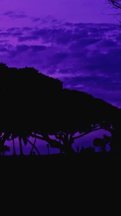 ИНСАЙТЫ ВСЕ ПОД ВСЕМИ ЧТО ЕСТЬ ВИДЕО...